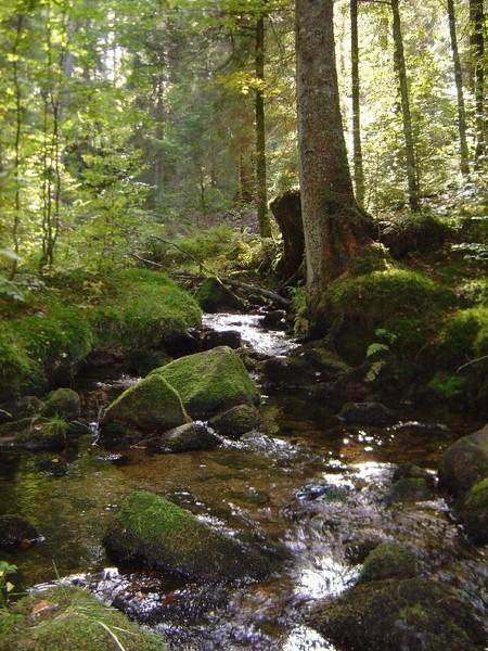 Ferienwohnungen Haus Marlene Kaiser Bernau im Schwarzwald Kültér fotó
