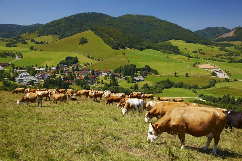 Ferienwohnungen Haus Marlene Kaiser Bernau im Schwarzwald Kültér fotó